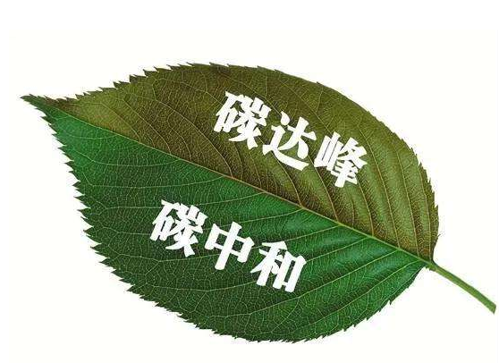 1640049347892482.png image.png